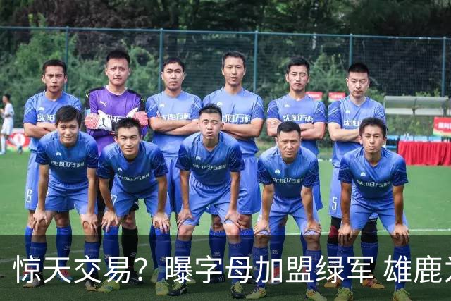 惊天交易？曝字母加盟绿军 雄鹿为布朗寻找第三方